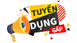 lĩnh vực hoạt động